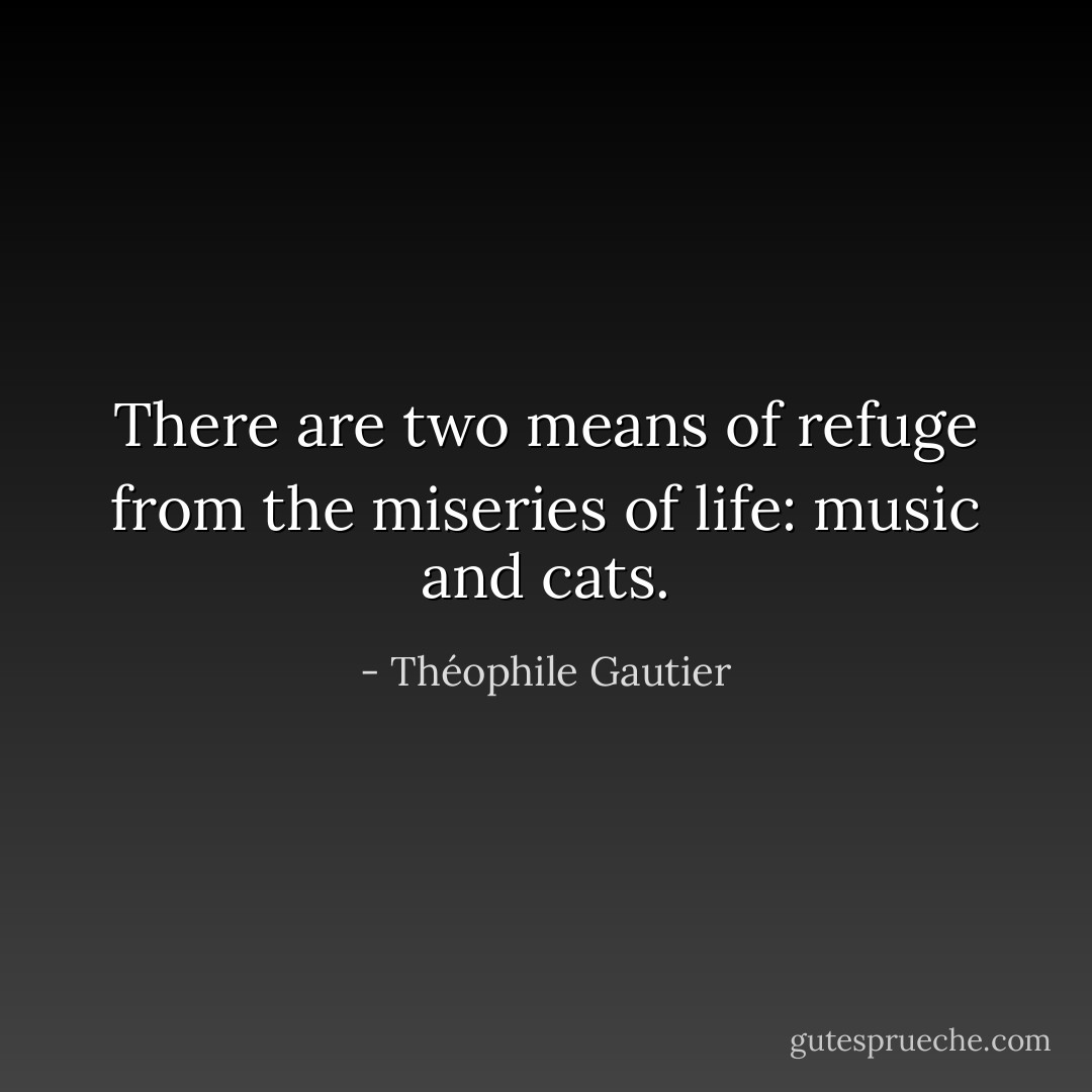 There are two means of refuge from the miseries of life: music and cats. - Théophile Gautier