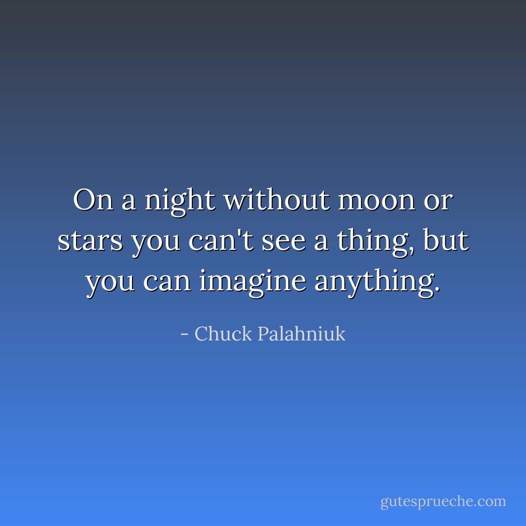 On a night without moon or stars you can't see a thing, but you can imagine anything. - Chuck Palahniuk