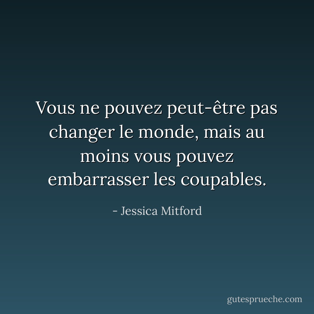 Vous ne pouvez peut-être pas changer le monde, mais au moins vous pouvez embarrasser les coupables. - Jessica Mitford