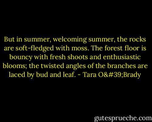 But in summer, welcoming summer, the rocks are soft-fledged with moss. The forest floor is bouncy with fresh shoots and enthusiastic blooms; the twisted angles of the branches are laced by bud and leaf. - Tara O'Brady