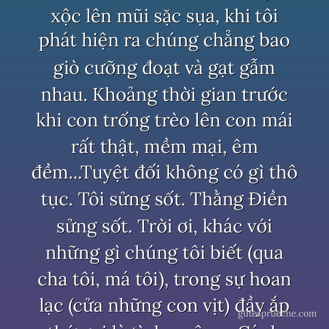Có lần chúng tôi thả vịt nghỉ khúc kinh có bóng cây. Bỗng nỗi xẫu hổ vì mình là con người xộc lên mũi sặc sụa, khi tôi phát hiện ra chúng chẳng bao giò cưỡng đoạt và gạt gẫm nhau. Khoảng thời gian trước khi con trống trèo lên con mái rất thật, mềm mại, êm đềm...Tuyệt đối không có gì thô tục. Tôi sửng sốt. Thằng Điền sửng sốt. Trời ơi, khác với những gì chúng tôi biết (qua cha tôi, má tôi), trong sự hoan lạc (cửa những con vịt) đầy ắp thứ gọi là tình - yêu<br /><br />- Cánh đồng bất tận - Nguyễn Ngọc Tư