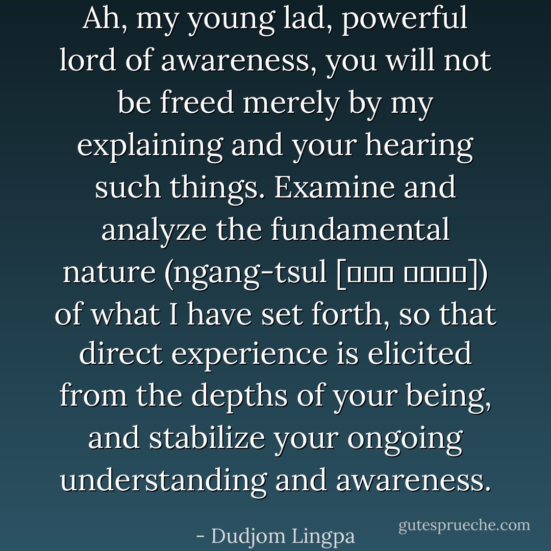 Ah, my young lad, powerful lord of awareness, you will not be freed merely by my explaining and your hearing such things. Examine and analyze the fundamental nature (<i>ngang-tsul</i> [ངང་ ཙུལ་]) of what I have set forth, so that direct experience is elicited from the depths of your being, and stabilize your ongoing understanding and awareness. - Dudjom Lingpa