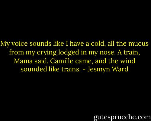 My voice sounds like I have a cold, all the mucus from my crying lodged in my nose. A train, Mama said. Camille came, and the wind sounded like trains. - Jesmyn Ward