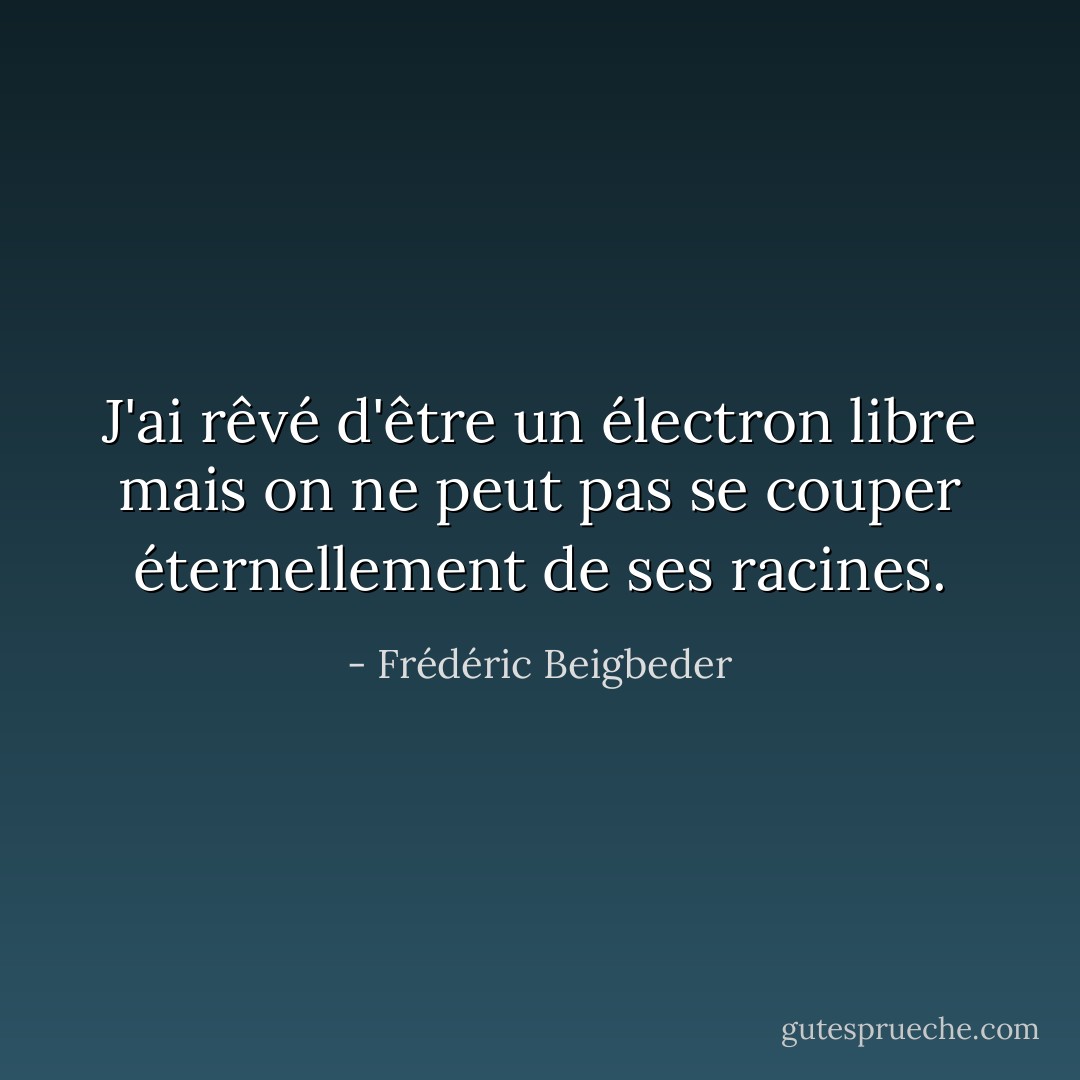 J'ai rêvé d'être un électron libre mais on ne peut pas se couper éternellement de ses racines. - Frédéric Beigbeder