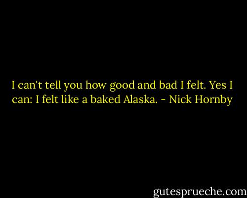 I can't tell you how good and bad I felt. Yes I can: I felt like a baked Alaska. - Nick Hornby