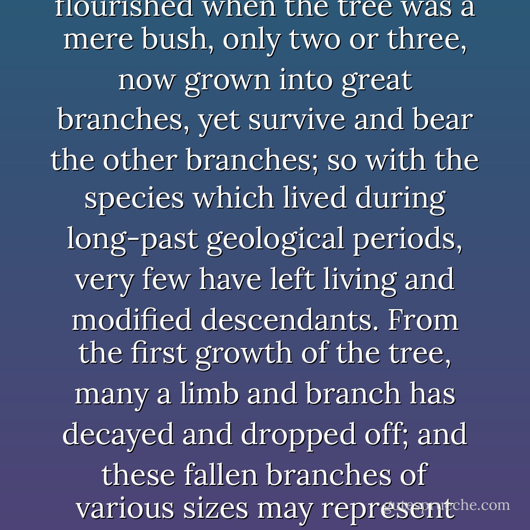 The affinities of all the beings of the same class have sometimes been represented by a great tree.I believe this simile largely speaks the truth. The green and budding twigs may represent existing species; and those produced during former years may represent the long succession of extinct species. At each period of growth all the growing twigs have tried to branch out on all sides, and to overtop and kill the surrounding twigs and branches, in the same manner as species and groups of species have at all times overmastered other species in the great battle for life. The limbs divided into great branches, and these into lesser and lesser branches, were themselves once, when the tree was young, budding twigs; and this connection of the former and present buds by ramifying branches may well represent the classification of all extinct and living species in groups subordinate to groups. Of the many twigs which flourished when the tree was a mere bush, only two or three, now grown into great branches, yet survive and bear the other branches; so with the species which lived during long-past geological periods, very few have left living and modified descendants. From the first growth of the tree, many a limb and branch has decayed and dropped off; and these fallen branches of various sizes may represent those whole orders, families, and genera which have now no living representatives, and which are known to us only in a fossil state. As we here and there see a thin straggling branch springing from a fork low down in a tree, and which by some chance has been favoured and is still alive on its summit, so we occasionally see an animal like the Ornithorhynchus or Lepidosiren, which in some small degree connects by its affinities two large branches of life, and which has apparently been saved from fatal competition by having inhabited a protected station. As buds give rise by growth to fresh buds, and these, if vigorous, branch out and overtop on all sides many a feebler branch, so by generation I believe it has been with the great Tree of Life, which fills with its dead and broken branches the crust of the earth, and covers the surface with its ever-branching and beautiful ramifications. - Charles Darwin