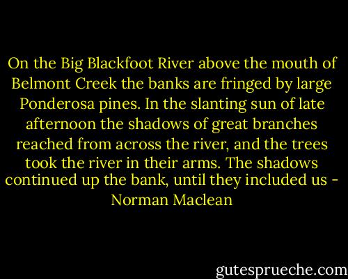 On the Big Blackfoot River above the mouth of Belmont Creek the banks are fringed by large Ponderosa pines. In the slanting sun of late afternoon the shadows of great branches reached from across the river, and the trees took the river in their arms. The shadows continued up the bank, until they included us - Norman Maclean