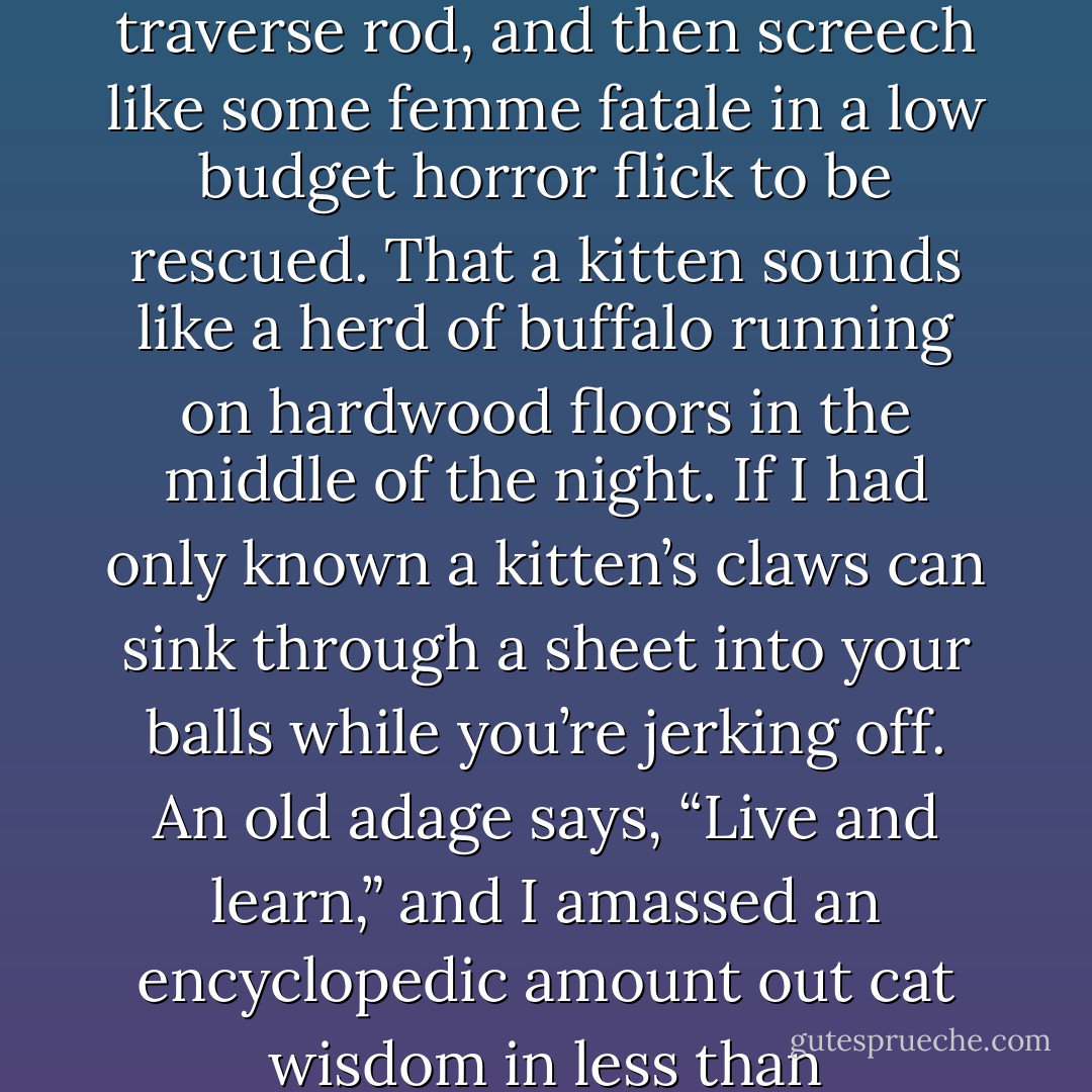 If I had only known kittens can climb drapes, perch on top of a traverse rod, and then screech like some femme fatale in a low budget horror flick to be rescued. That a kitten sounds like a herd of buffalo running on hardwood floors in the middle of the night. If I had only known a kitten’s claws can sink through a sheet into your balls while you’re jerking off. An old adage says, “Live and learn,” and I amassed an encyclopedic amount out cat wisdom in less than twenty-four hours. - K.C. Kendricks