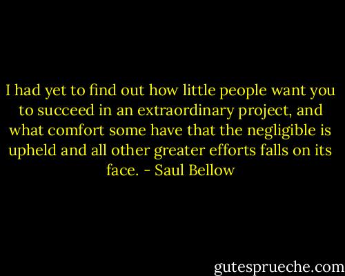 I had yet to find out how little people want you to succeed in an extraordinary project, and what comfort some have that the negligible is upheld and all other greater efforts falls on its face. - Saul Bellow