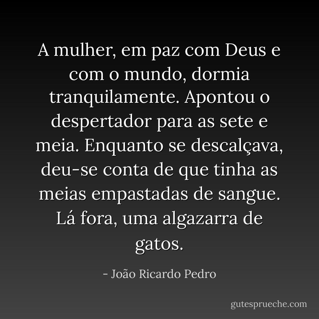 A mulher, em paz com Deus e com o mundo, dormia tranquilamente. Apontou o despertador para as sete e meia. Enquanto se descalçava, deu-se conta de que tinha as meias empastadas de sangue. Lá fora, uma algazarra de gatos. - João Ricardo Pedro