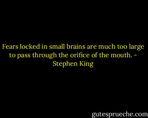 Fears locked in small brains are much too large to pass through the orifice of the mouth. - Stephen King