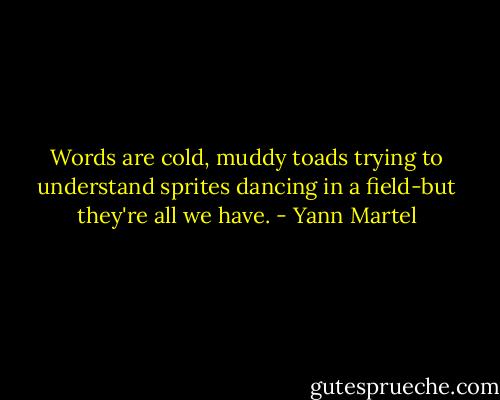 Words are cold, muddy toads trying to understand sprites dancing in a field-but they're all we have. - Yann Martel