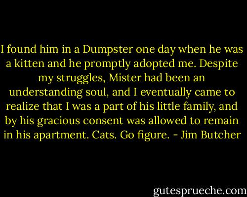 I found him in a Dumpster one day when he was a kitten and he promptly adopted me. Despite my struggles, Mister had been an understanding soul, and I eventually came to realize that I was a part of his little family, and by his gracious consent was allowed to remain in his apartment. Cats. Go figure. - Jim Butcher