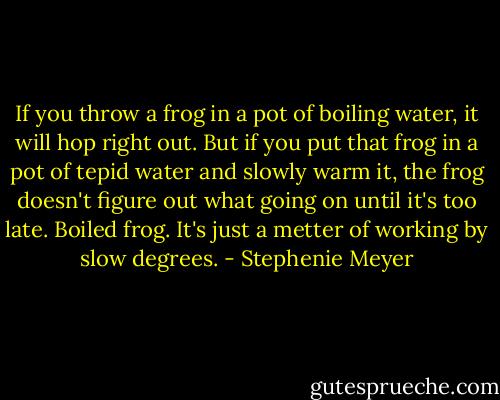 If you throw a frog in a pot of boiling water, it will hop right out. But if you put that frog in a pot of tepid water and slowly warm it, the frog doesn't figure out what going on until it's too late. Boiled frog. It's just a metter of working by slow degrees. - Stephenie Meyer