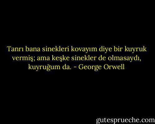 Tanrı bana sinekleri kovayım diye bir kuyruk vermiş; ama keşke sinekler de olmasaydı, kuyruğum da. - George Orwell