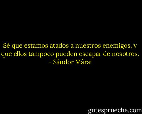 Sé que estamos atados a nuestros enemigos, y que ellos tampoco pueden escapar de nosotros. - Sándor Márai
