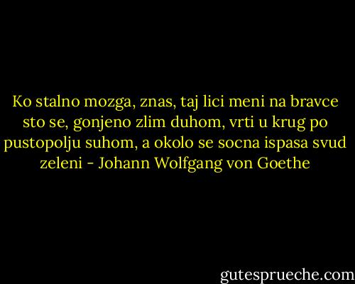 Ko stalno mozga, znas, taj lici meni<br />na bravce sto se, gonjeno zlim duhom,<br />vrti u krug po pustopolju suhom,<br />a okolo se socna ispasa svud zeleni - Johann Wolfgang von Goethe