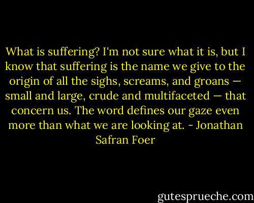 What is suffering? I'm not sure what it is, but I know that suffering is the name we give to the origin of all the sighs, screams, and groans — small and large, crude and multifaceted — that concern us. The word defines our gaze even more than what we are looking at. - Jonathan Safran Foer