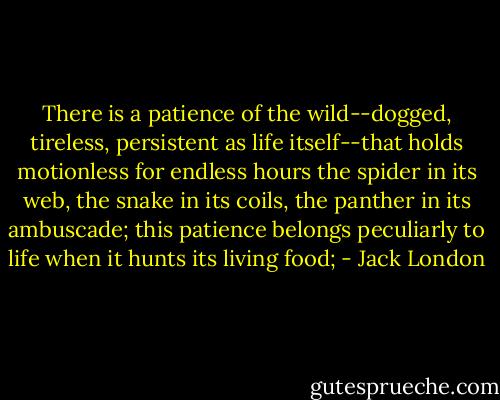 There is a patience of the wild--dogged, tireless, persistent as life itself--that holds motionless for endless hours the spider in its web, the snake in its coils, the panther in its ambuscade; this patience belongs peculiarly to life when it hunts its living food; - Jack London