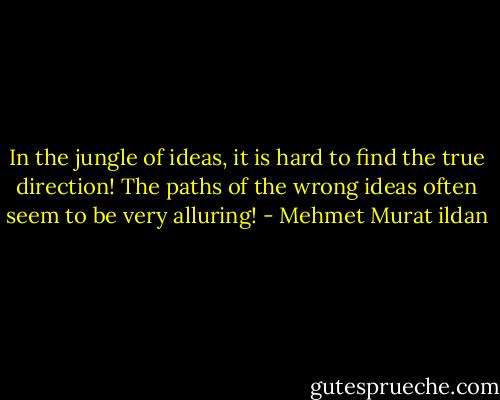 In the jungle of ideas, it is hard to find the true direction! The paths of the wrong ideas often seem to be very alluring! - Mehmet Murat ildan