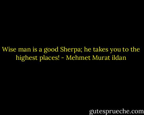 Wise man is a good Sherpa; he takes you to the highest places! - Mehmet Murat ildan