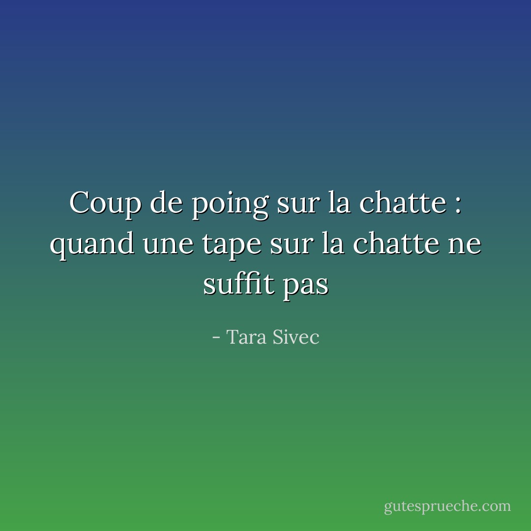 Coup de poing sur la chatte : quand une tape sur la chatte ne suffit pas - Tara Sivec