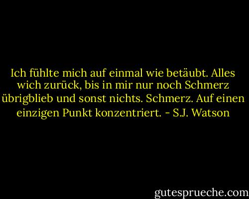 Ich fühlte mich auf einmal wie betäubt. Alles wich zurück, bis in mir nur noch Schmerz übrigblieb und sonst nichts. Schmerz. Auf einen einzigen Punkt konzentriert. - S.J. Watson