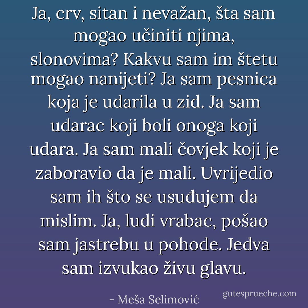 Ja, crv, sitan i nevažan, šta sam mogao učiniti njima, slonovima? Kakvu sam im štetu mogao nanijeti?<br />Ja sam pesnica koja je udarila u zid.<br />Ja sam udarac koji boli onoga koji udara.<br />Ja sam mali čovjek koji je zaboravio da je mali. Uvrijedio sam ih što se usuđujem da mislim.<br />Ja, ludi vrabac, pošao sam jastrebu u pohode. Jedva sam izvukao živu glavu. - Meša Selimović