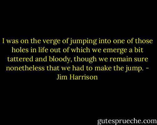 I was on the verge of jumping into one of those holes in life out of which we emerge a bit tattered and bloody, though we remain sure nonetheless that we had to make the jump. - Jim Harrison