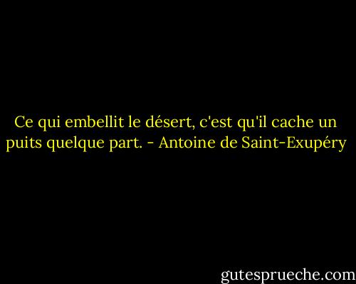 Ce qui embellit le désert, c'est qu'il cache un puits quelque part. - Antoine de Saint-Exupéry