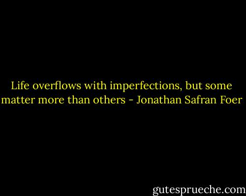 Life overflows with imperfections, but some matter more than others - Jonathan Safran Foer