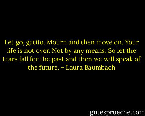 Let go, gatito. Mourn and then move on. Your life is not over. Not by any means. So let the tears fall for the past and then we will speak of the future. - Laura Baumbach