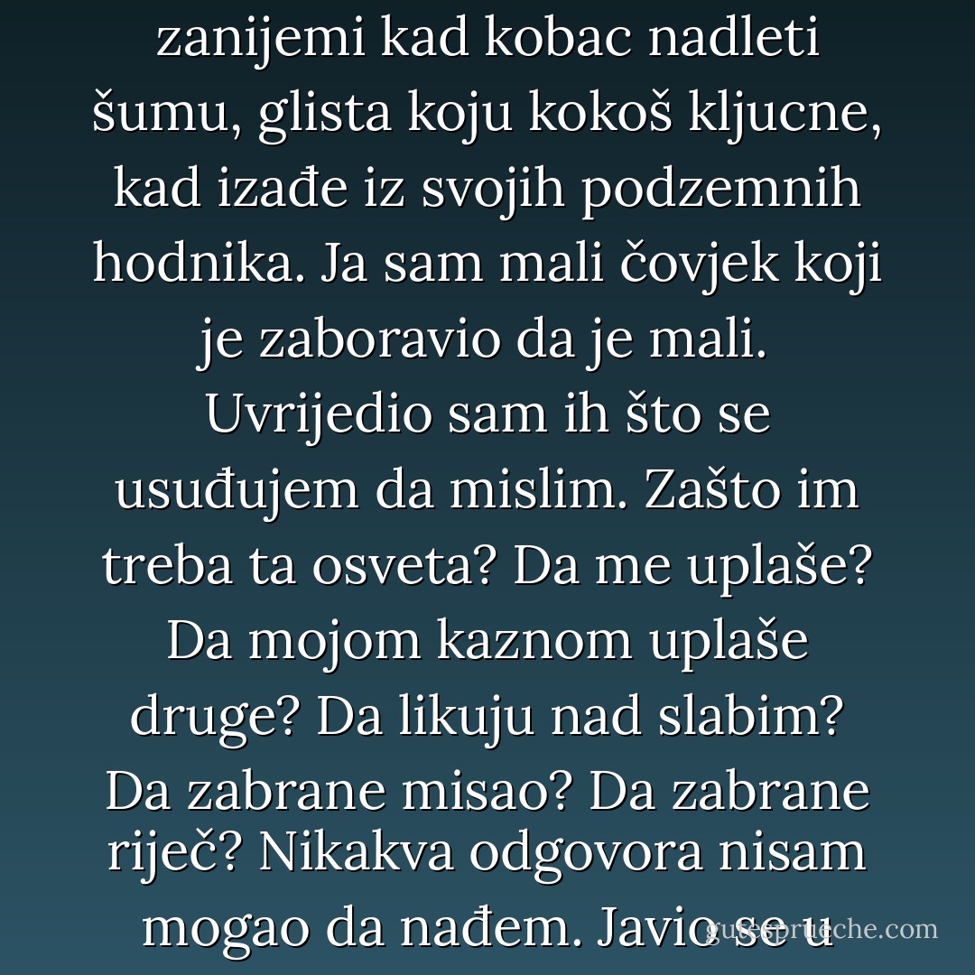 Ja sam pesnica koja je udarila u zid.<br />Ja sam udarac koji boli onog koji udara.<br />Ja sam pijesak pod njihovim nogama, ptica što zanijemi kad kobac nadleti šumu, glista koju kokoš kljucne, kad izađe iz svojih podzemnih hodnika.<br />Ja sam mali čovjek koji je zaboravio da je mali. Uvrijedio sam ih što se usuđujem da mislim.<br />Zašto im treba ta osveta? Da me uplaše? Da mojom kaznom uplaše druge? Da likuju nad slabim? Da zabrane misao? Da zabrane riječ? Nikakva odgovora nisam mogao da nađem. Javio se u meni užas zbog te besmislene surovosti. Gdje smo mi? U kakvom to svijetu živimo? - Meša Selimović