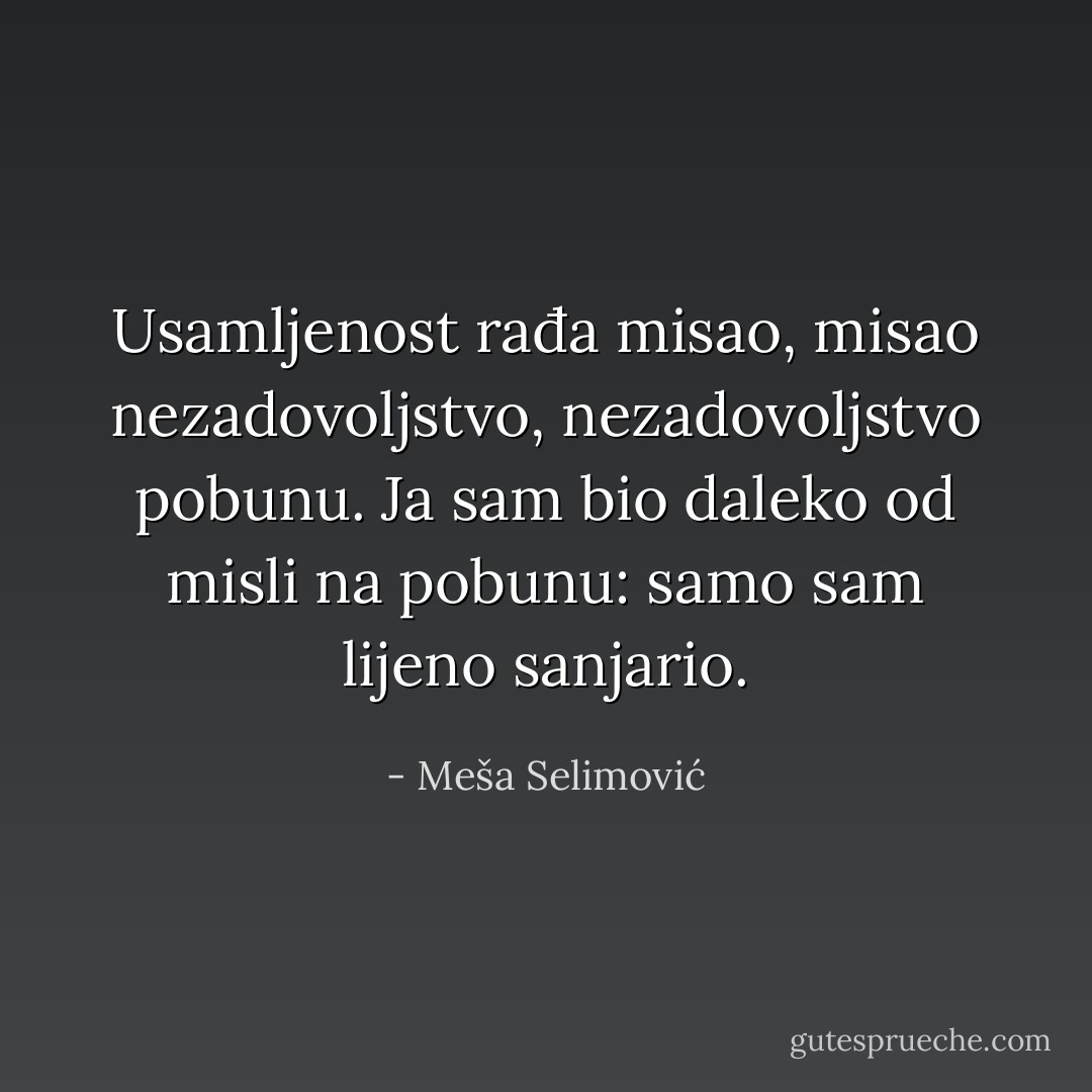 Usamljenost rađa misao, misao nezadovoljstvo, nezadovoljstvo pobunu. Ja sam bio daleko od misli na pobunu: samo sam lijeno sanjario. - Meša Selimović
