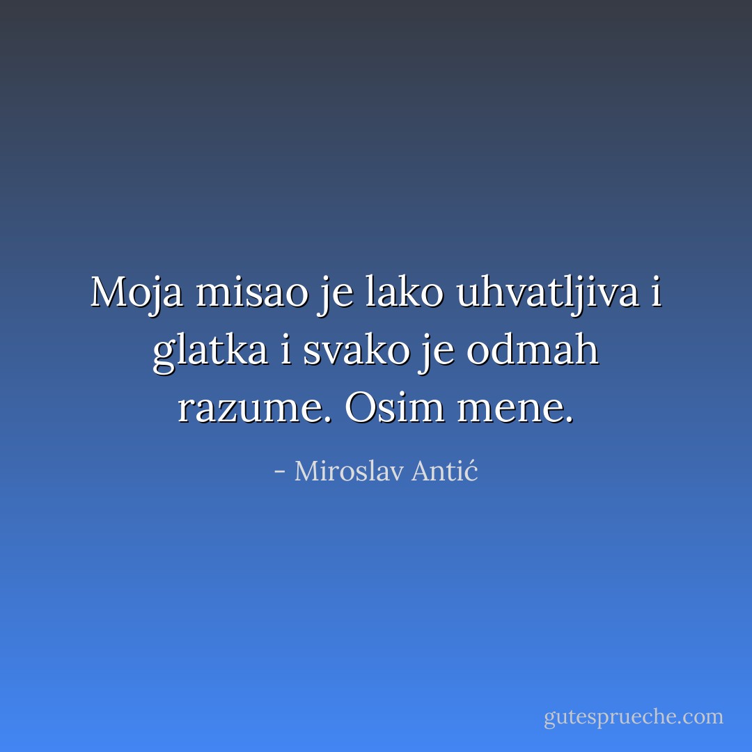 Moja misao je lako uhvatljiva i glatka i svako je odmah razume. Osim mene. - Miroslav Antić