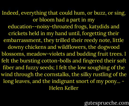 Indeed, everything that could hum, or buzz, or sing, or bloom had a part in my education--noisy-throated frogs, katydids and crickets held in my hand until, forgetting their embarrassment, they trilled their reedy note, little downy chickens and wildflowers, the dogwood blossoms, meadow-violets and budding fruit trees. I felt the bursting cotton-bolls and fingered their soft fiber and fuzzy seeds; I felt the low soughing of the wind through the cornstalks, the silky rustling of the long leaves, and the indignant snort of my pony... - Helen Keller
