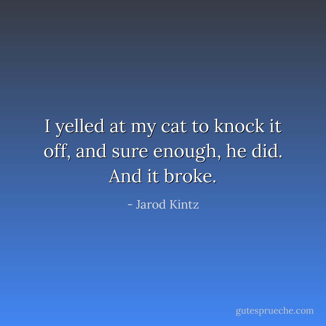 I yelled at my cat to knock it off, and sure enough, he did. And it broke. - Jarod Kintz