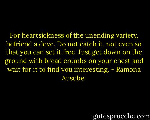For heartsickness of the unending variety, befriend a dove. Do not catch it, not even so that you can set it free. Just get down on the ground with bread crumbs on your chest and wait for it to find you interesting. - Ramona Ausubel