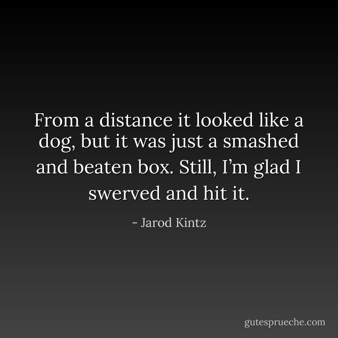 From a distance it looked like a dog, but it was just a smashed and beaten box. Still, I’m glad I swerved and hit it. - Jarod Kintz