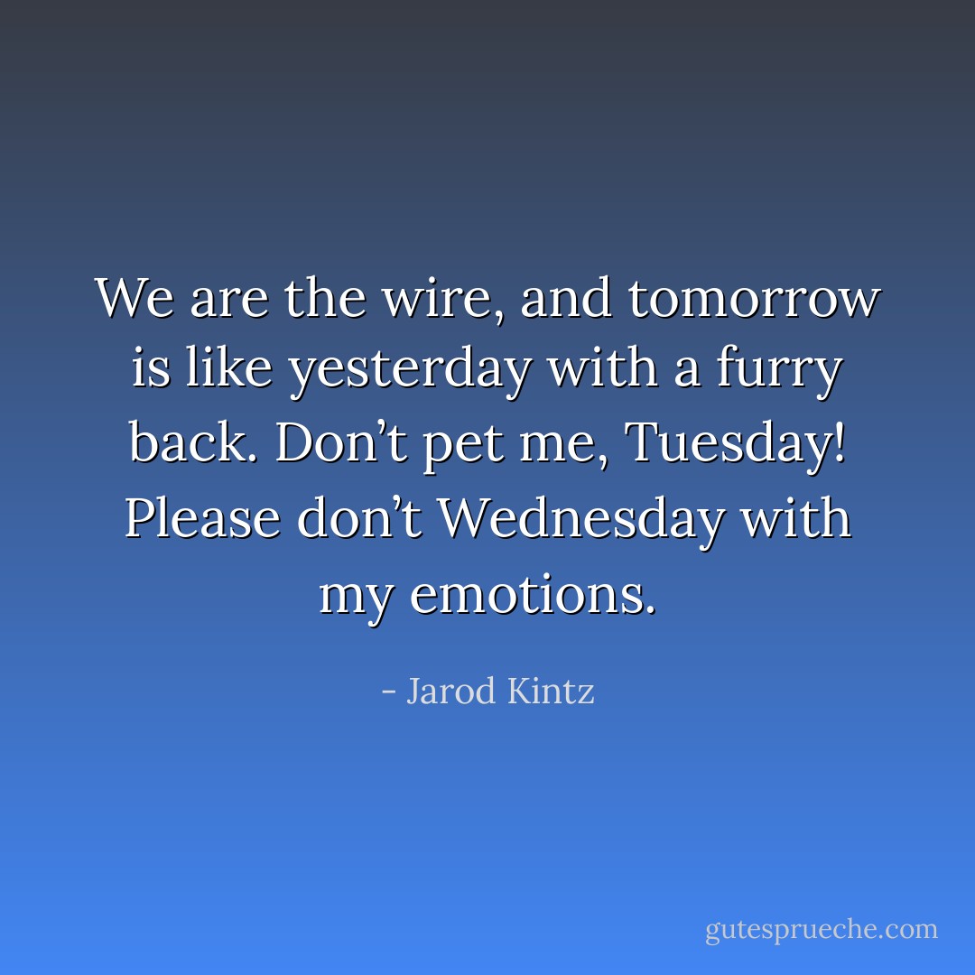 We are the wire, and tomorrow is like yesterday with a furry back. Don’t pet me, Tuesday! Please don’t Wednesday with my emotions. - Jarod Kintz