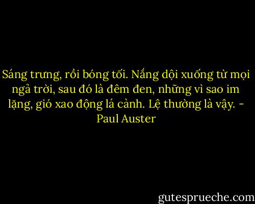 Sáng trưng, rồi bóng tối. Nắng dội xuống từ mọi ngả trời, sau đó là đêm đen, những vì sao im lặng, gió xao động lá cành. Lệ thường là vậy. - Paul Auster