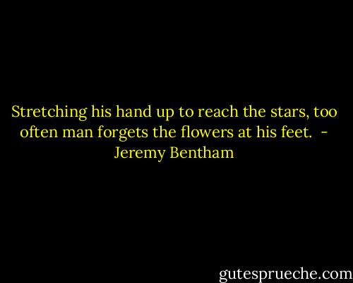 Stretching his hand up to reach the stars, too often man forgets the flowers at his feet.  - Jeremy Bentham