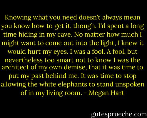 Knowing what you need doesn't always mean you know how to get it, though. I'd spent a long time hiding in my cave. No matter how much I might want to come out into the light, I knew it would hurt my eyes. I was a fool. A fool, but nevertheless too smart not to know I was the architect of my own demise, that it was time to put my past behind me. It was time to stop allowing the white elephants to stand unspoken of in my living room. - Megan Hart