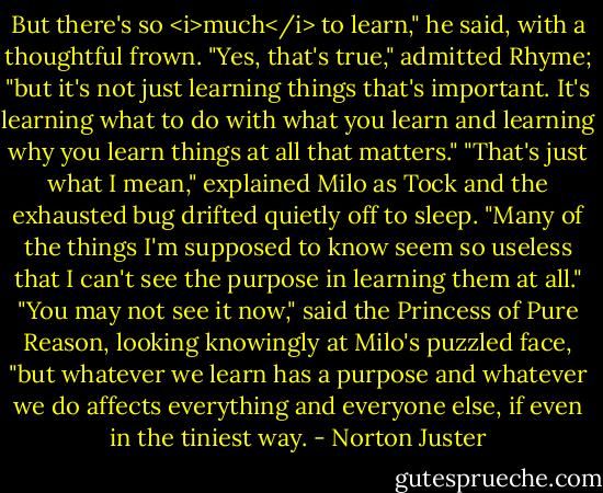 But there's so <i>much</i> to learn," he said, with a thoughtful frown.<br />"Yes, that's true," admitted Rhyme; "but it's not just learning things that's important. It's learning what to do with what you learn and learning why you learn things at all that matters."<br />"That's just what I mean," explained Milo as Tock and the exhausted bug drifted quietly off to sleep. "Many of the things I'm supposed to know seem so useless that I can't see the purpose in learning them at all."<br />"You may not see it now," said the Princess of Pure Reason, looking knowingly at Milo's puzzled face, "but whatever we learn has a purpose and whatever we do affects everything and everyone else, if even in the tiniest way. - Norton Juster
