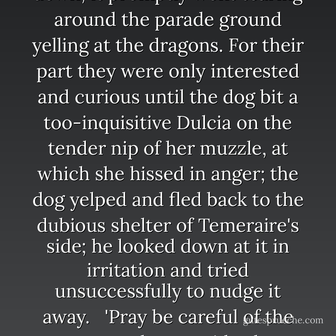 Proper circus you make,' Berkley said, with a snort of laughter Laurence considered unnecessary, when they landed in the clearing and set the dog down; it promptly went tearing around the parade ground yelling at the dragons. For their part they were only interested and curious until the dog bit a too-inquisitive Dulcia on the tender nip of her muzzle, at which she hissed in anger; the dog yelped and fled back to the dubious shelter of Temeraire's side; he looked down at it in irritation and tried unsuccessfully to nudge it away. <br /><br />'Pray be careful of the creature; I have no idea how we should get or train another,' Laurence said, and Temeraire at last grumbling allowed it to curl up beside him. - Naomi Novik