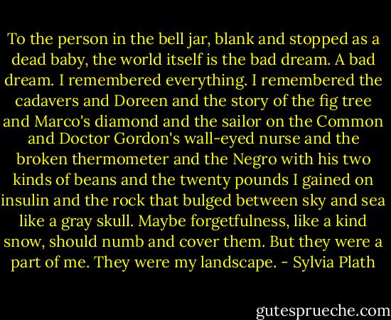 To the person in the bell jar, blank and stopped as a dead baby, the world itself is the bad dream. A bad dream. I remembered everything. I remembered the cadavers and Doreen and the story of the fig tree and Marco's diamond and the sailor on the Common and Doctor Gordon's wall-eyed nurse and the broken thermometer and the Negro with his two kinds of beans and the twenty pounds I gained on insulin and the rock that bulged between sky and sea like a gray skull. Maybe forgetfulness, like a kind snow, should numb and cover them. But they were a part of me. They were my landscape. - Sylvia Plath