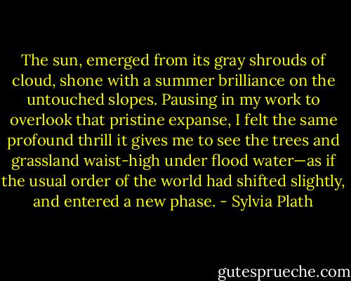The sun, emerged from its gray shrouds of cloud, shone with a summer brilliance on the untouched slopes. Pausing in my work to overlook that pristine expanse, I felt the same profound thrill it gives me to see the trees and grassland waist-high under flood water—as if the usual order of the world had shifted slightly, and entered a new phase. - Sylvia Plath