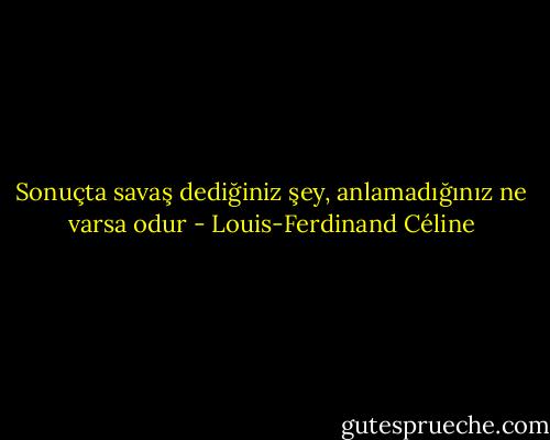 Sonuçta savaş dediğiniz şey, anlamadığınız ne varsa odur - Louis-Ferdinand Céline