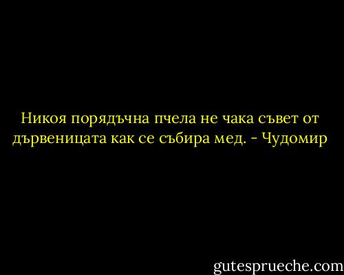 Никоя порядъчна пчела не чака съвет от дървеницата как се събира мед. - Чудомир
