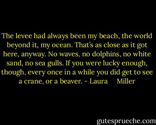 The levee had always been my beach, the world beyond it, my ocean. That’s as close as it got here, anyway. No waves, no dolphins, no white sand, no sea gulls. If you were lucky enough, though, every once in a while you did get to see a crane, or a beaver. - Laura     Miller